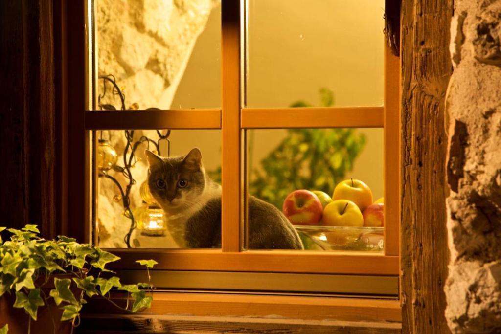 فيلا آلافي Agriturismo Al Picchio المظهر الخارجي الصورة
