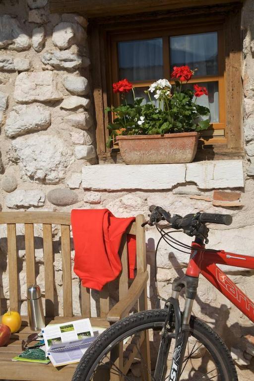 فيلا آلافي Agriturismo Al Picchio المظهر الخارجي الصورة